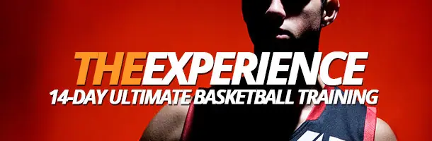 The Experience