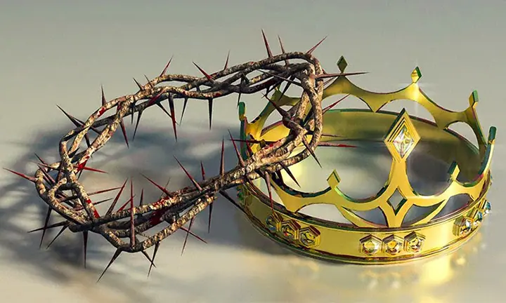 crown of thorns