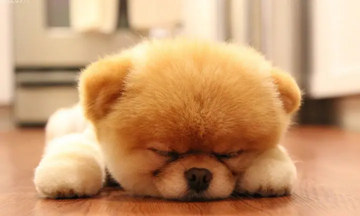 sleep