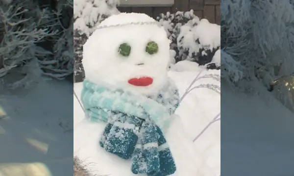 Snowman