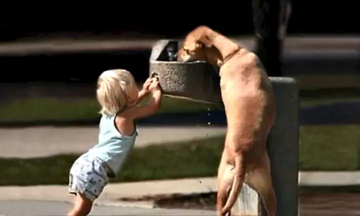kindness