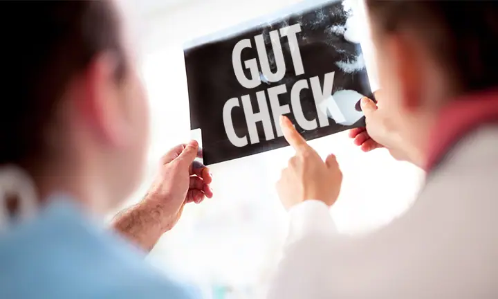 Gut Check