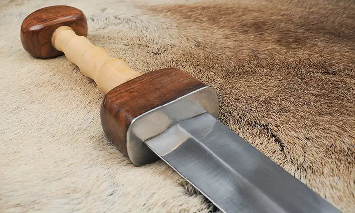 gladius