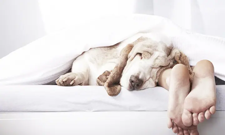sleep