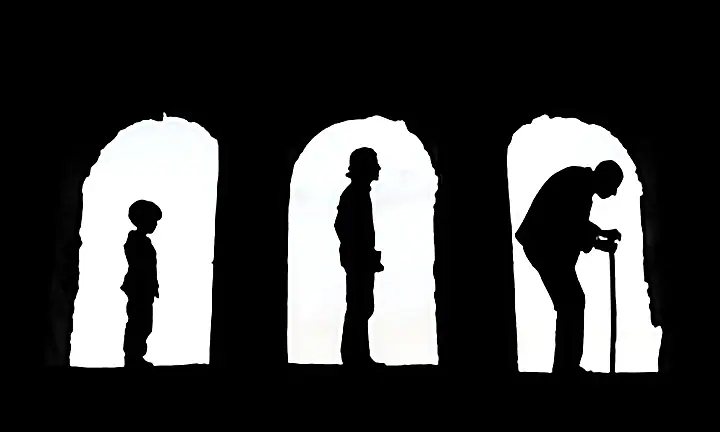 3-stages-of-life