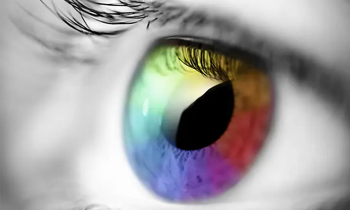 Color