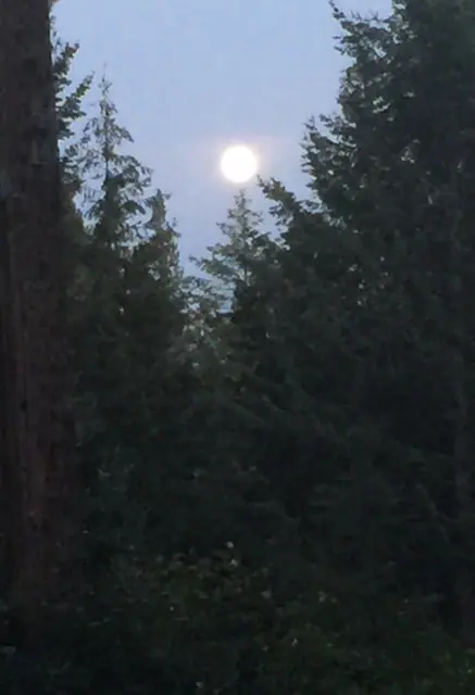 Moon above Deer Lake photo taken by S Crowell