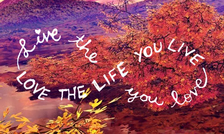 live-love