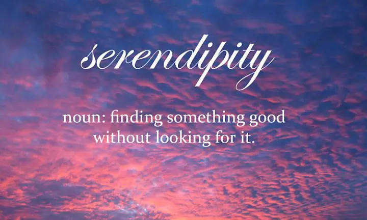 serendipity