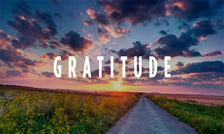 gratitude
