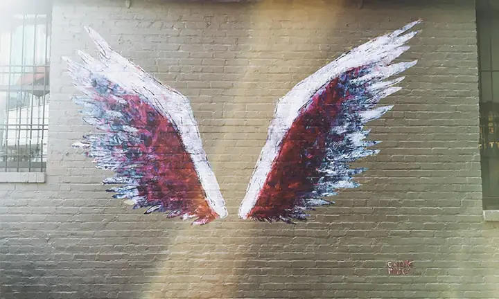 wings