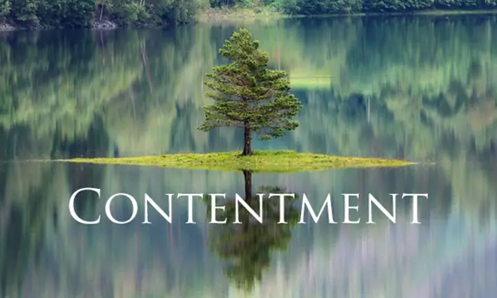 contentment