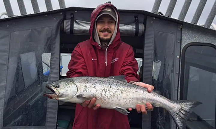 king salmon