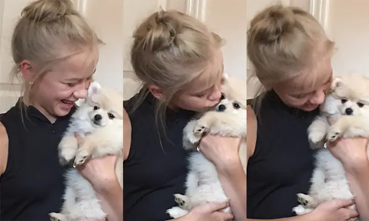 puppies