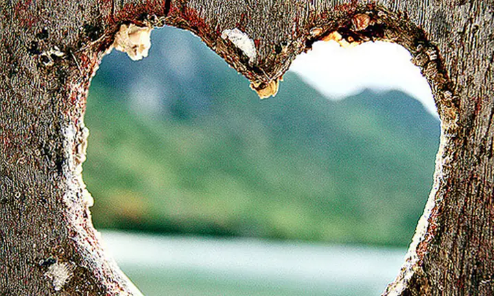 heart