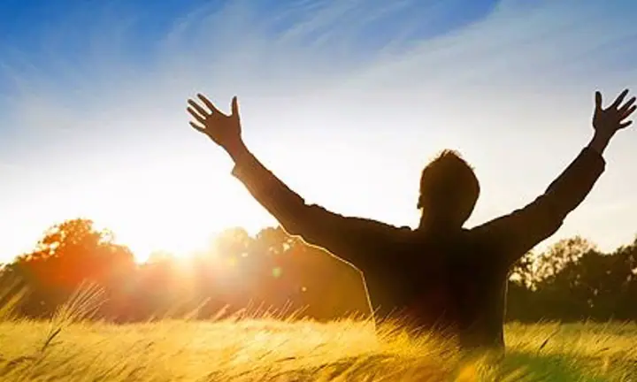 Surrender