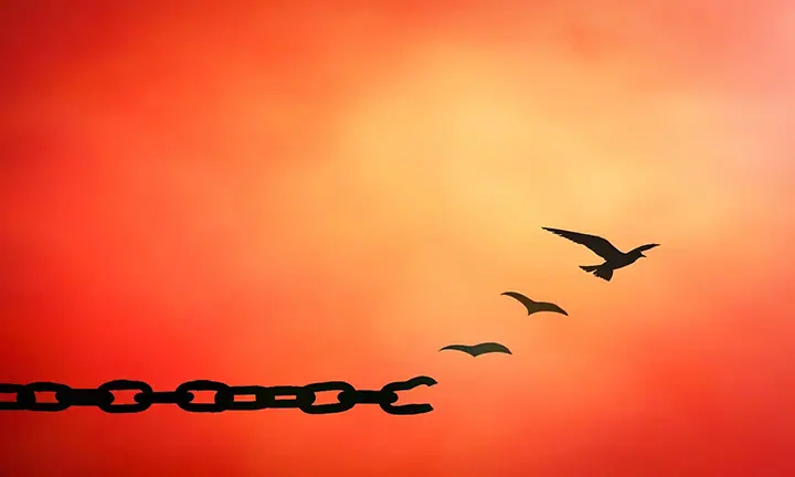 forgiveness
