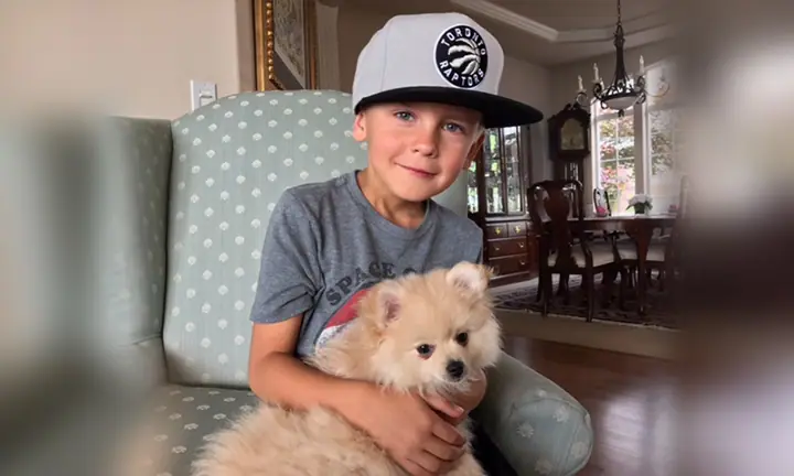 puppy