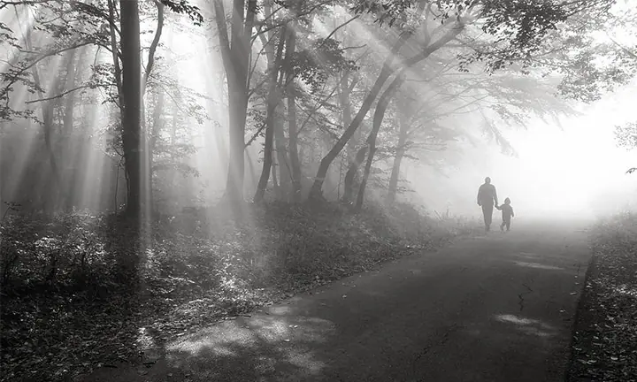 walk-in-the-light