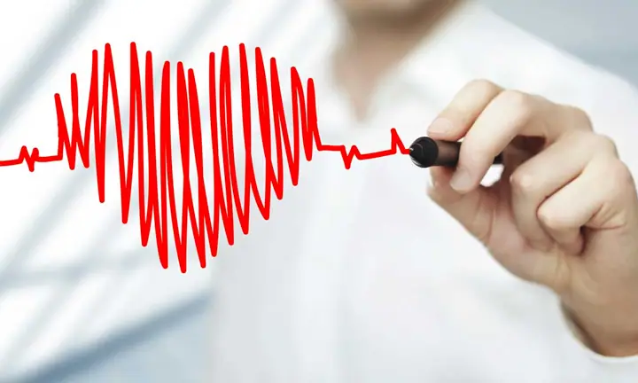 heart